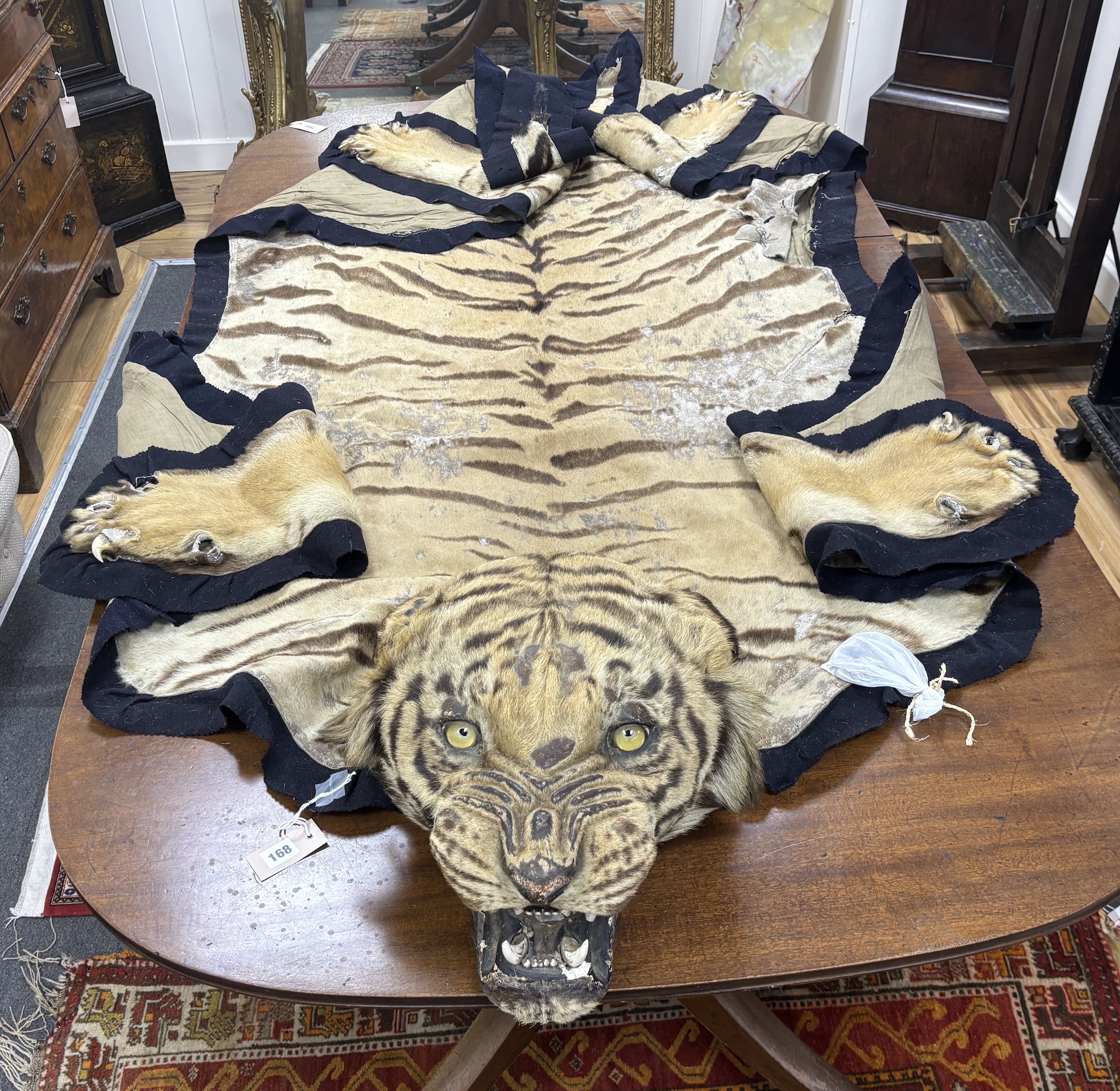A large early 20th century felt backed tiger skin rug with head, by Van Ingen and Van Ingen, (bears label remnants) length 318cm